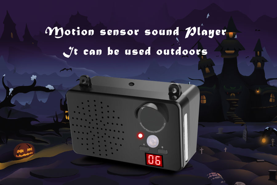 WT-E12 sound player