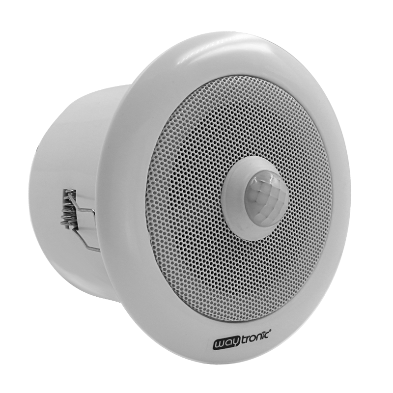 Voice Advertising