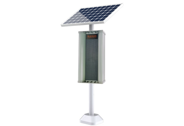 Outdoor motion sensor player