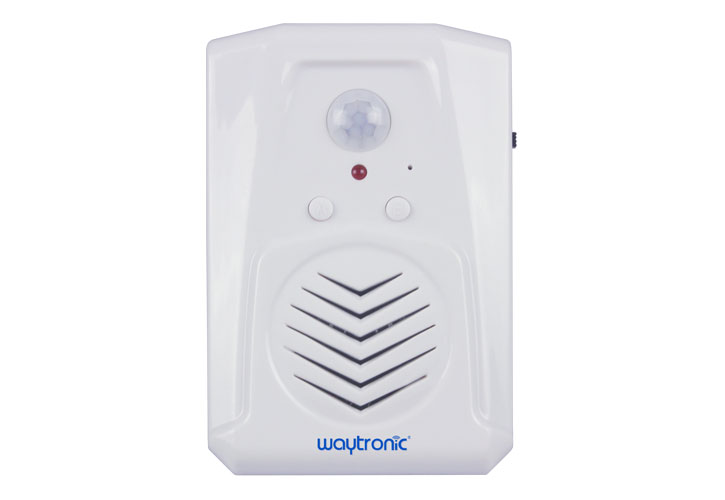 Voice advertising