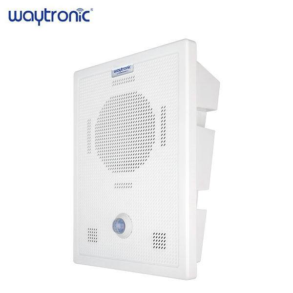 Bluetooth version high-power voice prompter