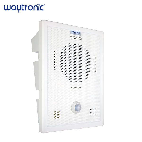 Bluetooth version high-power voice prompter