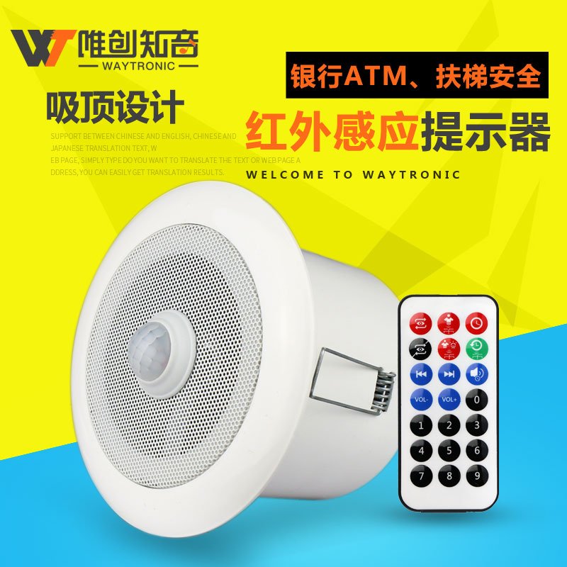 PowerSound-V9 吸頂式紅外感應(yīng)