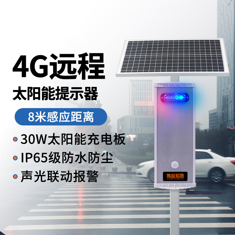 <b>WT-W23太陽(yáng)能語(yǔ)音提示器</b>